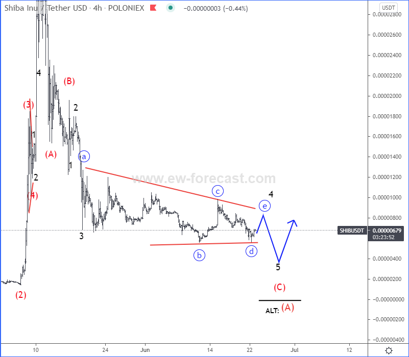 Siba Inu Elliott Wave analysis 