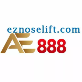 AE888 Eznoselift