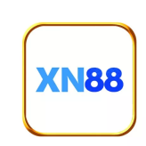 Xn881net 