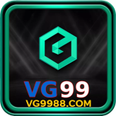 Vg9988com 
