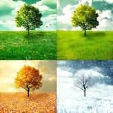 The  Seasons 