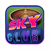 Skyclubautos 