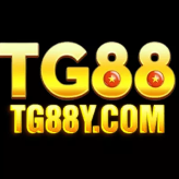 Tg88y Com
