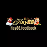 Hay88feedback 