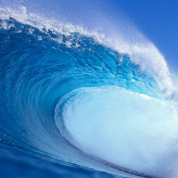 Ernestbalesteraus  Tinda 