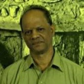 Basil  Fernandes 