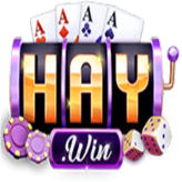 Haywin2app 