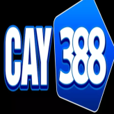 Cay388cam 