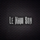 Le  Nam Son 