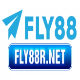 Fly88rnet 