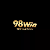 98winvision 