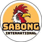 Sabonginternational88 