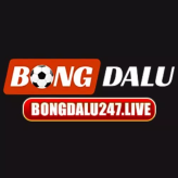 Bongdalu247live 