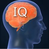 IQ  Options 