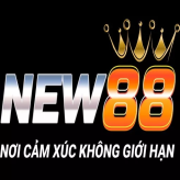 New88aeorg  