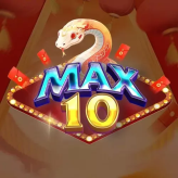 Max10gbnet 