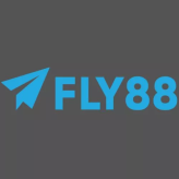 Fly888  