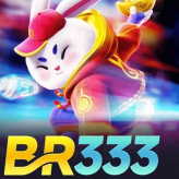BR333 