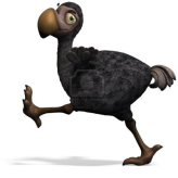 Dodo  