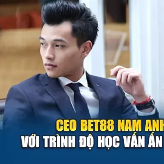 CEO  NamAnh 