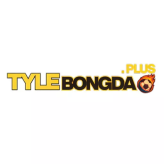 Tylebongdaplus1  