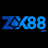 Zx88 Co In