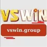 Vswin Group