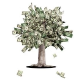 FX  Money Trees 