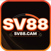 SV88cam  