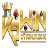K9winitcom 
