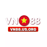 Vn88usorg 