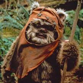 Ewok  