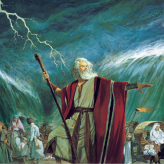 Moses  Able 