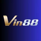 Vin  Blue 