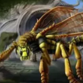 DragonWaspTrader  