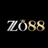 Zo88network 