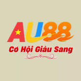 Au88ceo1 