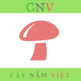 Trang Trai Nam CNV