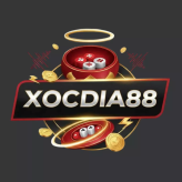 Xocdia88nyc 