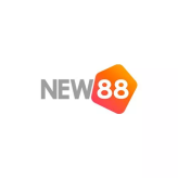 New88dd1 Biz