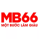 MB66 Realty