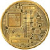 Digital  Coin Advocate 