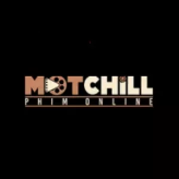 Motchillnetwork 