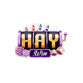 Haywin1network  