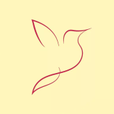 Parwaz 
